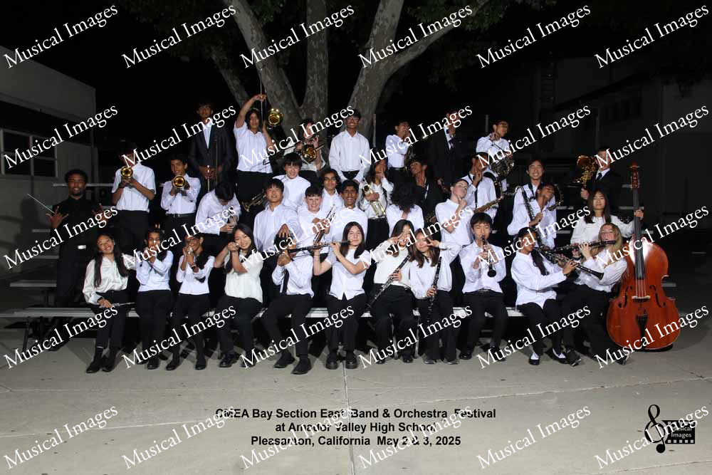 Musical Images